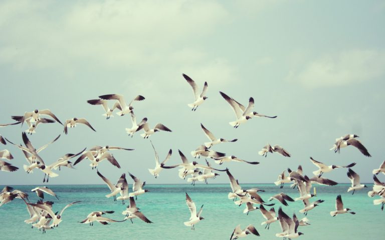 Migration due to climate change