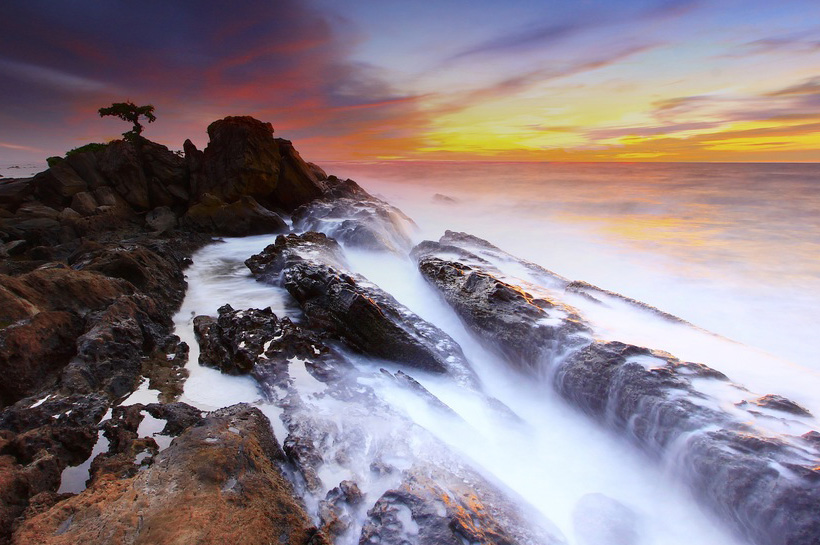 Captivating Coastal